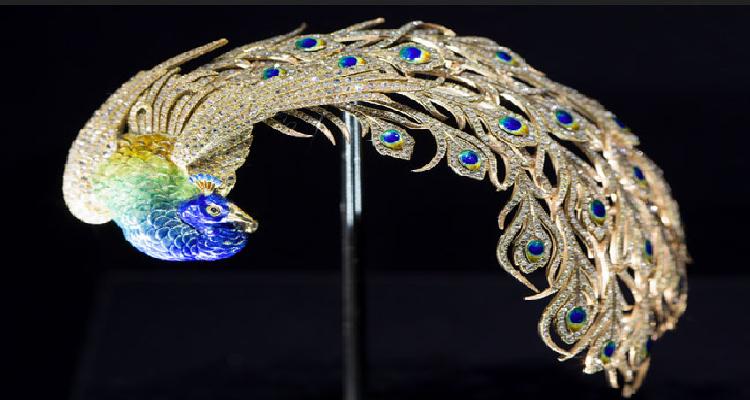 aigrette paon.jpg
